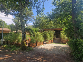 chalet 315 camping 4 étoiles Bassin d'Arcachon La Teste